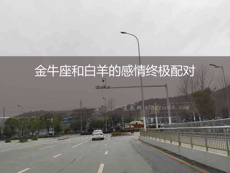 金牛座和白羊的感情終極配對