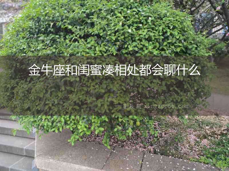 金牛座和閨蜜湊相處都會聊什么