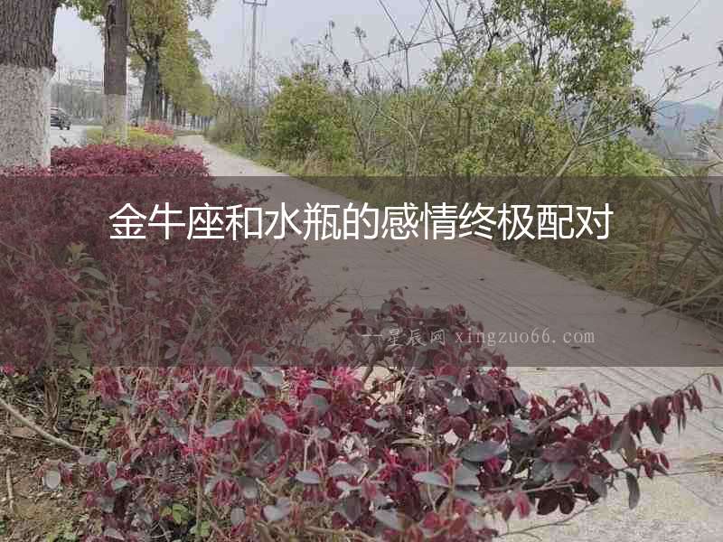金牛座和水瓶的感情終極配對
