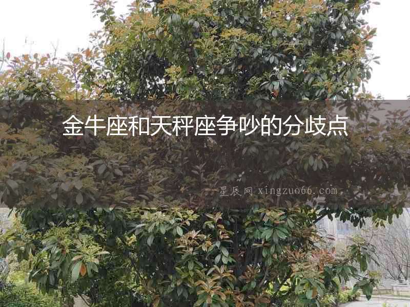 金牛座和天秤座爭(zhēng)吵的分歧點(diǎn)