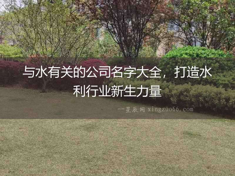 與水有關的公司名字大全，打造水利行業新生力量