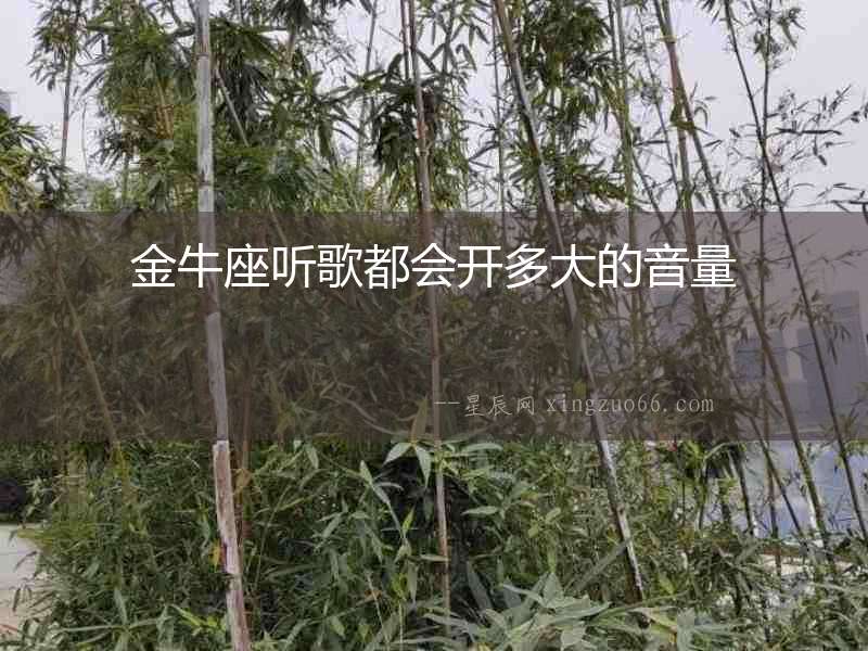 金牛座聽歌都會開多大的音量