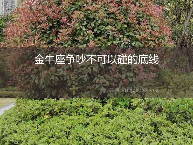 金牛座爭吵不可以碰的底線