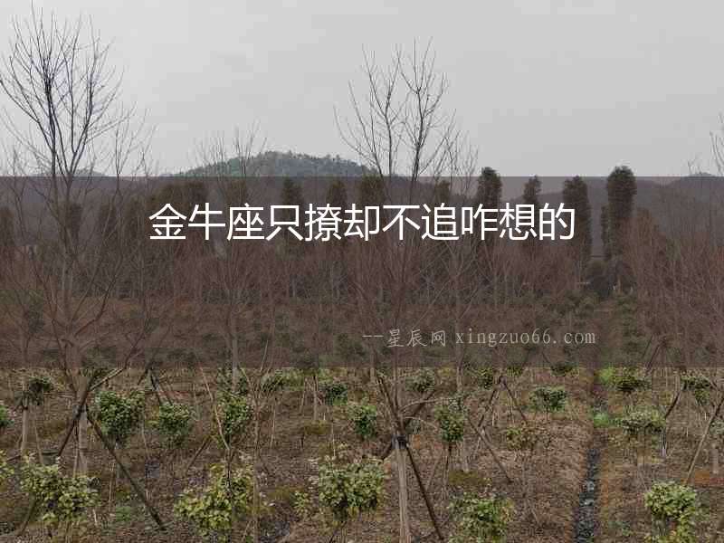 金牛座只撩卻不追咋想的