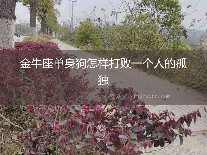 金牛座單身狗怎樣打敗一個(gè)人的孤獨(dú)