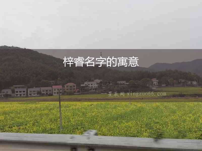 梓睿名字的寓意