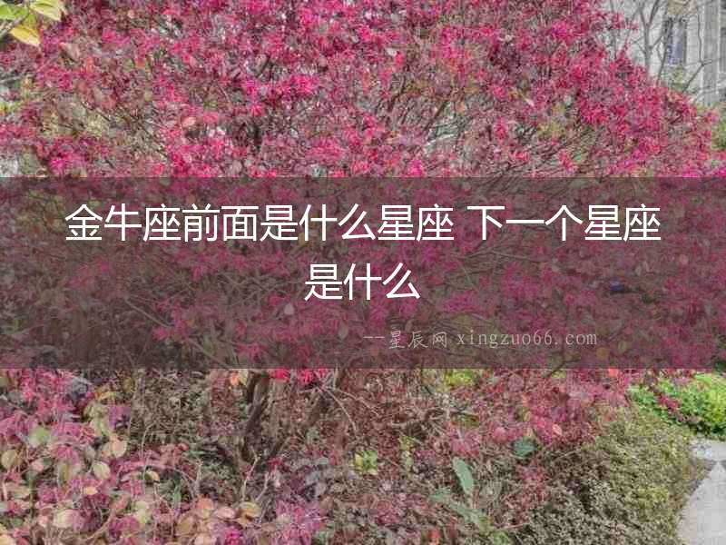 金牛座前面是什么星座 下一個星座是什么