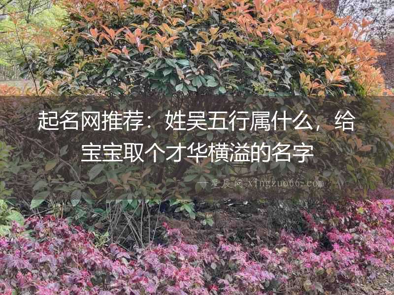 起名網推薦：姓吳五行屬什么，給寶寶取個才華橫溢的名字