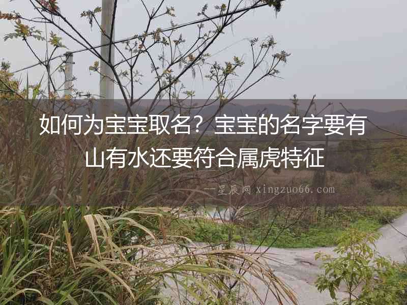 如何為寶寶取名？寶寶的名字要有山有水還要符合屬虎特征