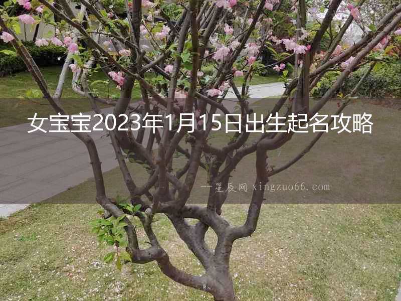 女寶寶2023年1月15日出生起名攻略