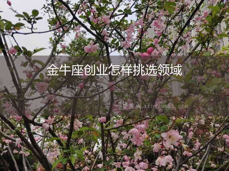 金牛座創業怎樣挑選領域