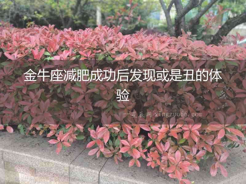 金牛座減肥成功后發現或是丑的體驗