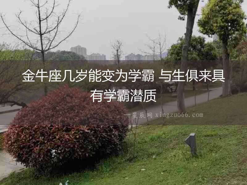 金牛座幾歲能變為學霸 與生俱來具有學霸潛質