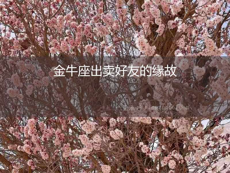 金牛座出賣好友的緣故