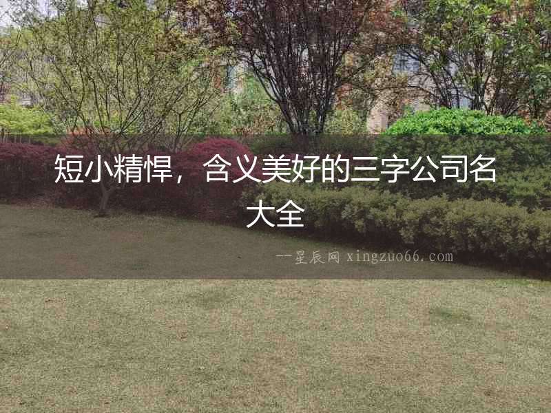 短小精悍，含義美好的三字公司名大全