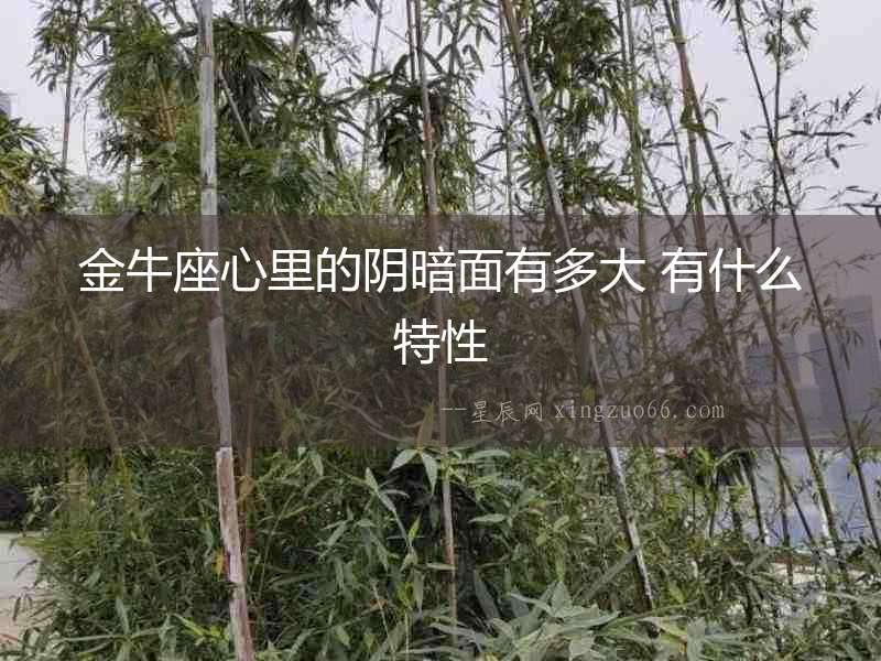 金牛座心里的陰暗面有多大 有什么特性