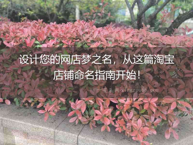 設(shè)計您的網(wǎng)店夢之名，從這篇淘寶店鋪命名指南開始！
