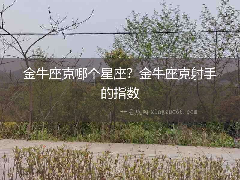 金牛座克哪個星座？金牛座克射手的指數(shù)