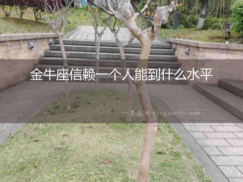 金牛座信賴一個人能到什么水平