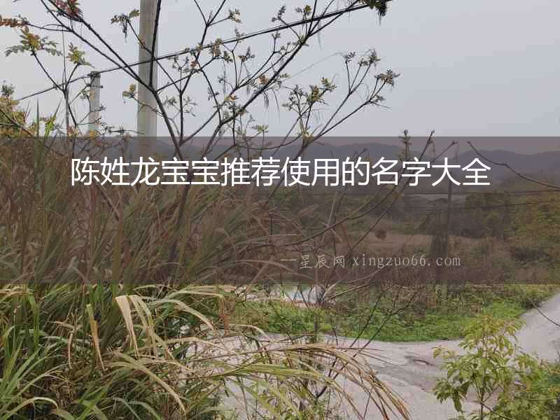陳姓龍寶寶推薦使用的名字大全
