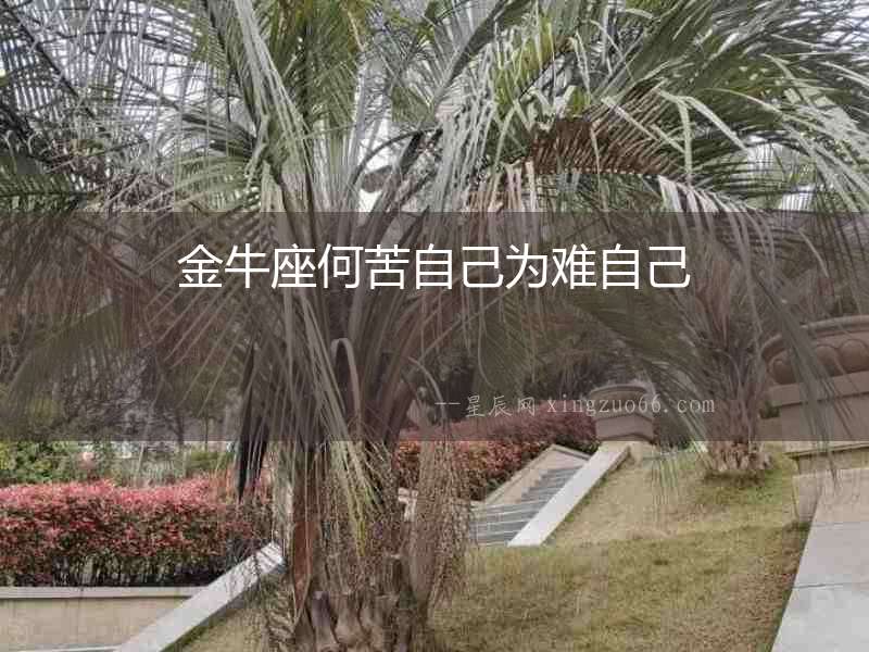 金牛座何苦自己為難自己