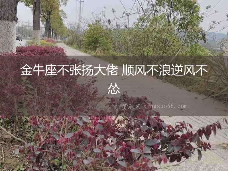 金牛座不張揚大佬 順風不浪逆風不慫