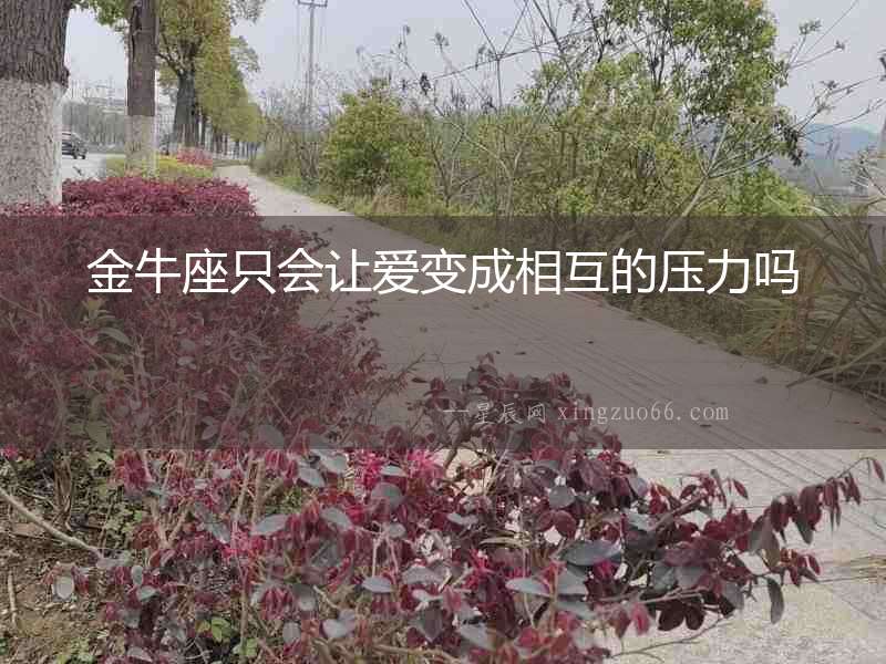 金牛座只會讓愛變成相互的壓力嗎