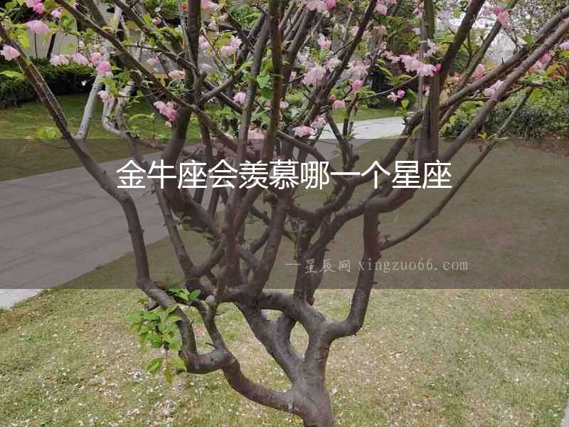 金牛座會羨慕哪一個星座