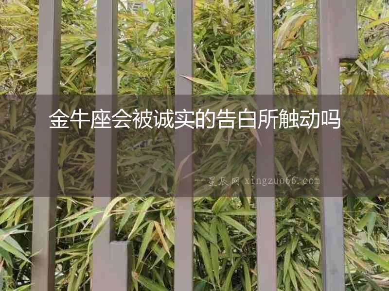 金牛座會被誠實的告白所觸動嗎