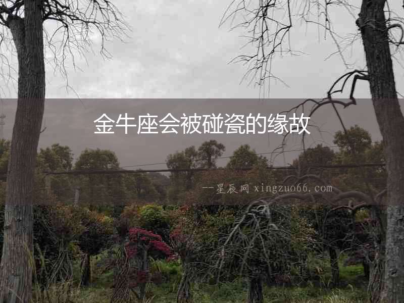 金牛座會被碰瓷的緣故