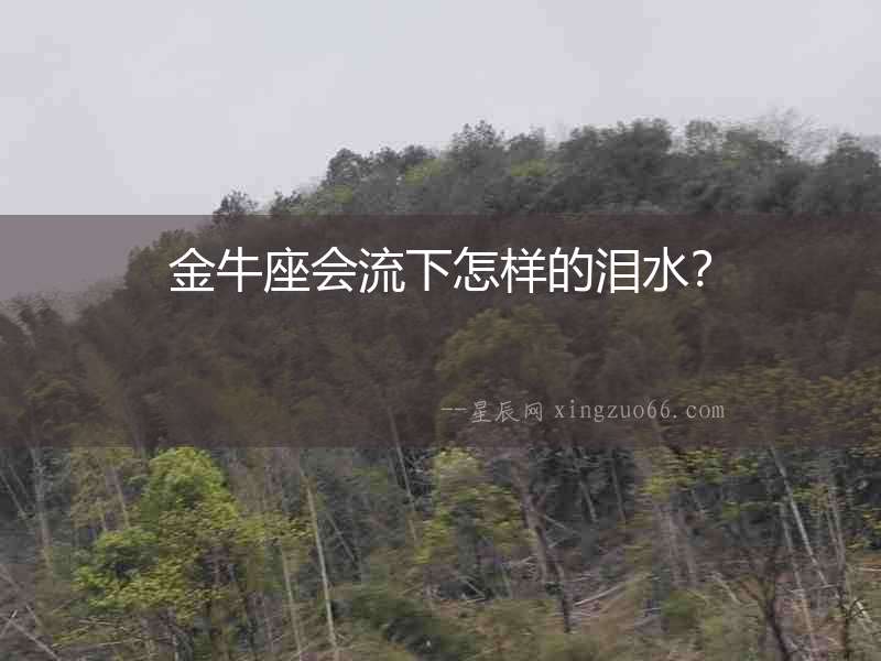 金牛座會流下怎樣的淚水？