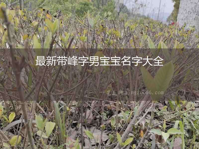 最新帶峰字男寶寶名字大全