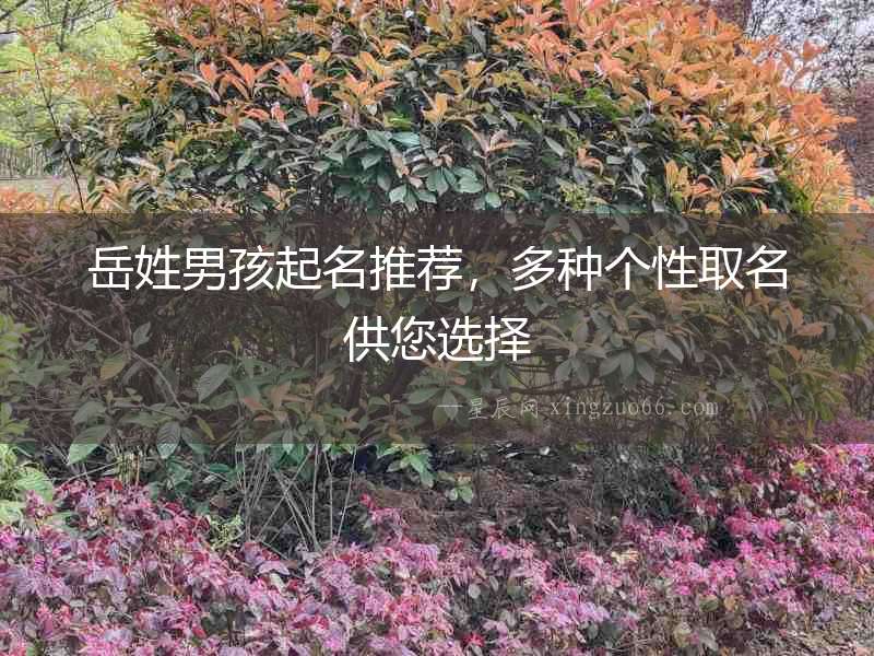岳姓男孩起名推薦，多種個性取名供您選擇
