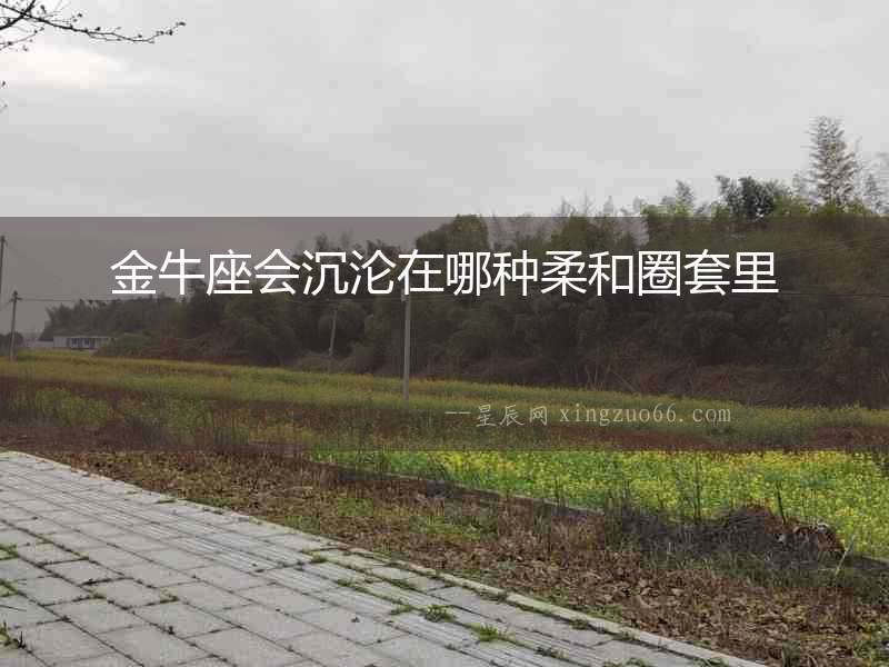 金牛座會沉淪在哪種柔和圈套里