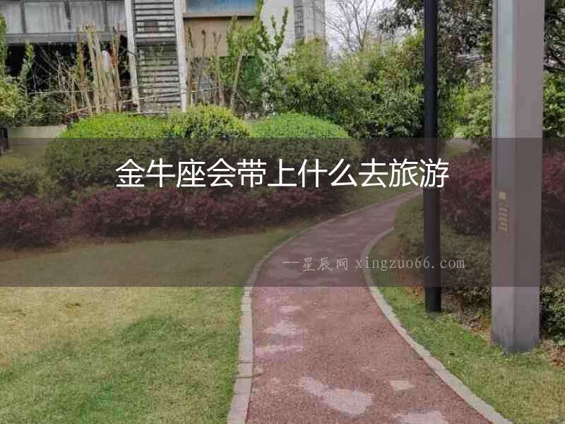 金牛座會(huì)帶上什么去旅游
