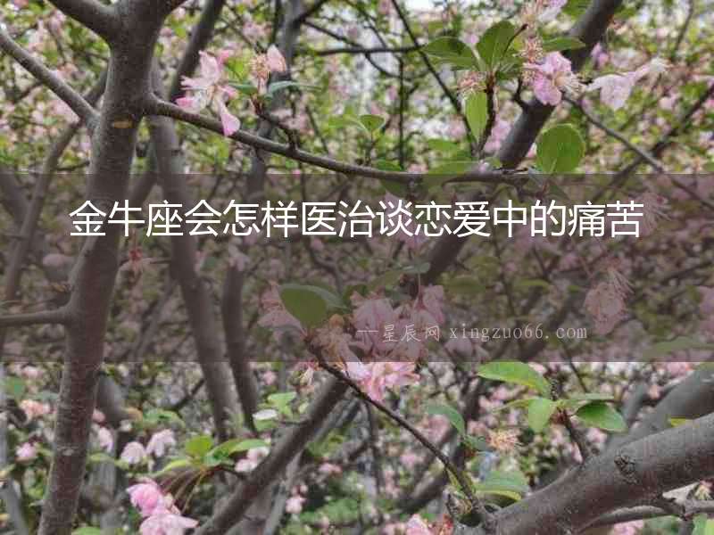 金牛座會怎樣醫治談戀愛中的痛苦