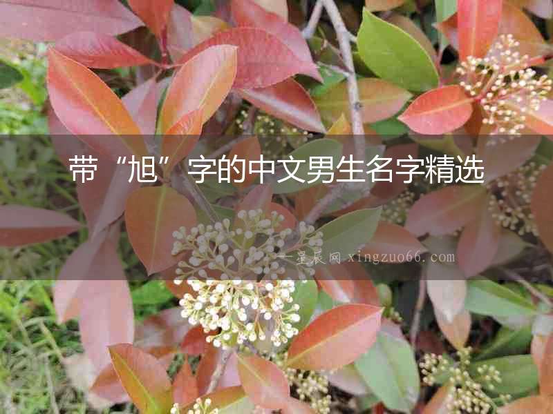 帶“旭”字的中文男生名字精選