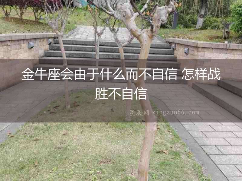 金牛座會由于什么而不自信 怎樣戰勝不自信