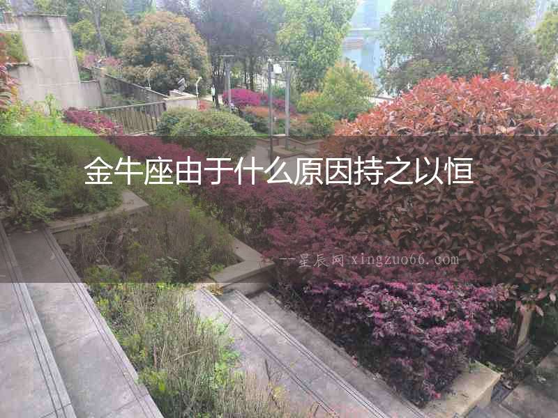 金牛座由于什么原因持之以恒