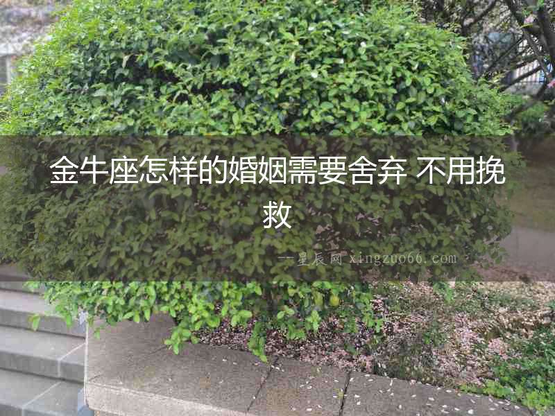 金牛座怎樣的婚姻需要舍棄 不用挽救