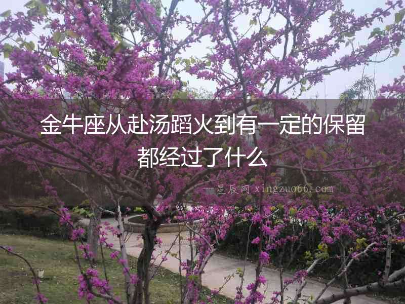 金牛座從赴湯蹈火到有一定的保留都經過了什么