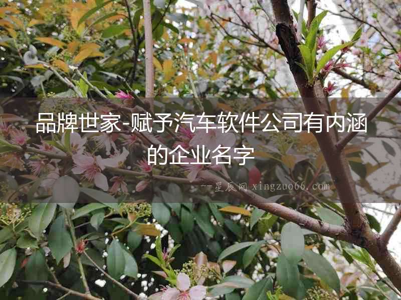 品牌世家-賦予汽車軟件公司有內涵的企業名字