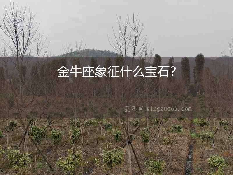 金牛座象征什么寶石？