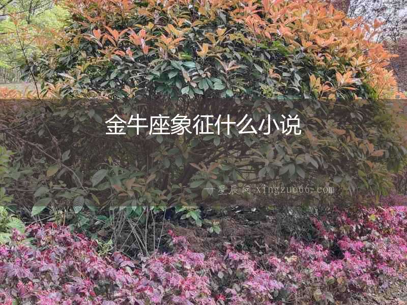 金牛座象征什么小說