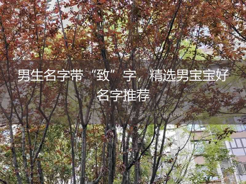 男生名字帶“致”字，精選男寶寶好名字推薦