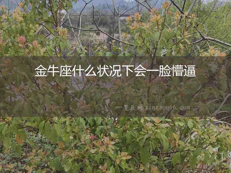 金牛座什么狀況下會一臉懵逼