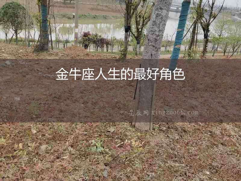 金牛座人生的最好角色