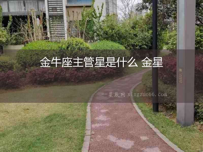金牛座主管星是什么 金星