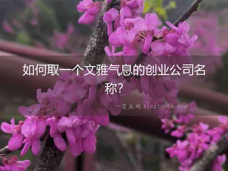 如何取一個(gè)文雅氣息的創(chuàng)業(yè)公司名稱？