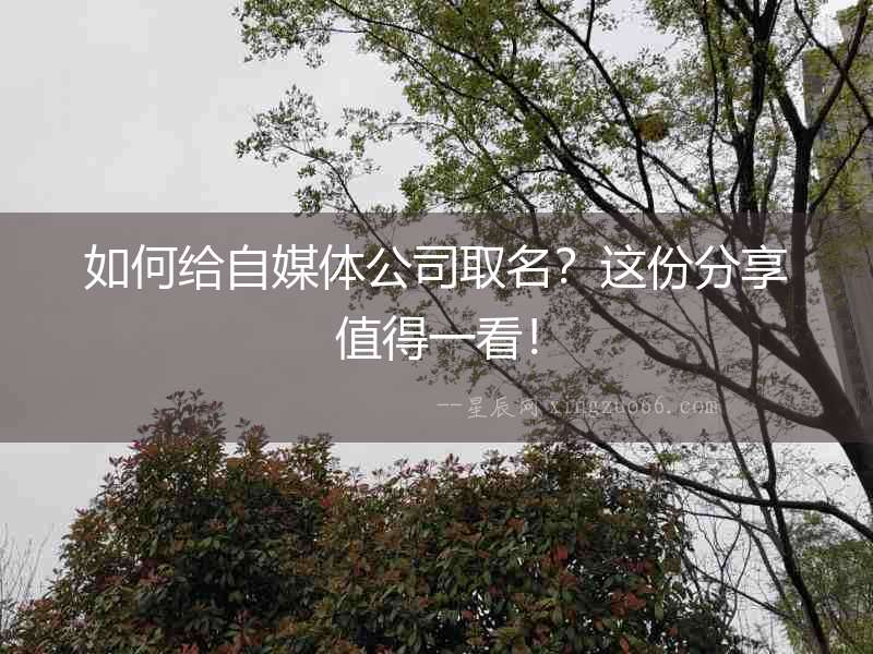 如何給自媒體公司取名？這份分享值得一看！